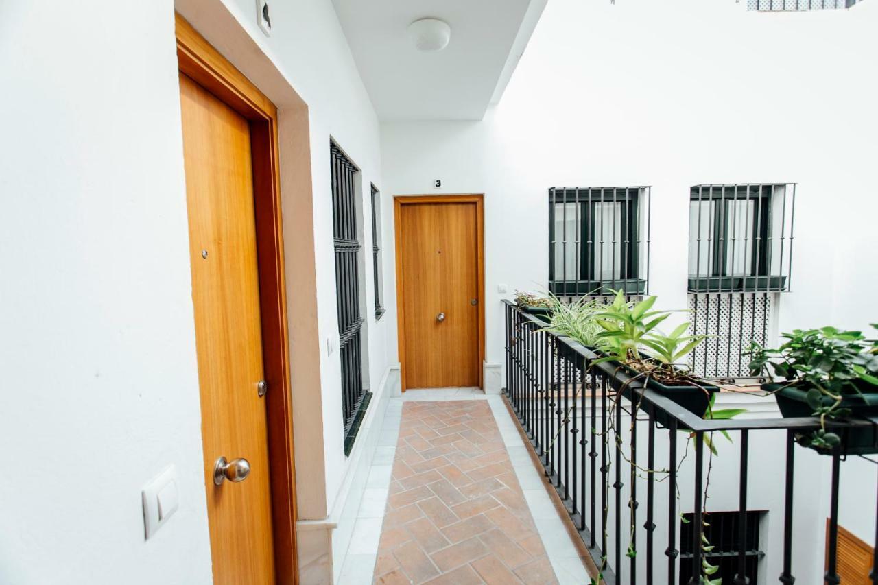 דירות סביליה Bright Duplex W/ Terrace מראה חיצוני תמונה