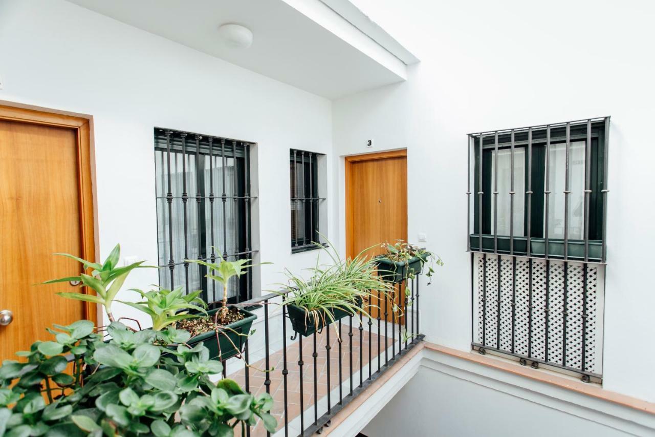 דירות סביליה Bright Duplex W/ Terrace מראה חיצוני תמונה